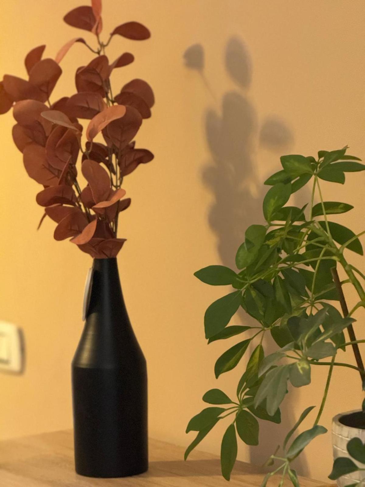 Verdi Apartments 卡塔尼亚 外观 照片
